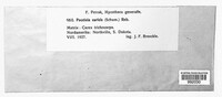 Image Associated With the Occurence